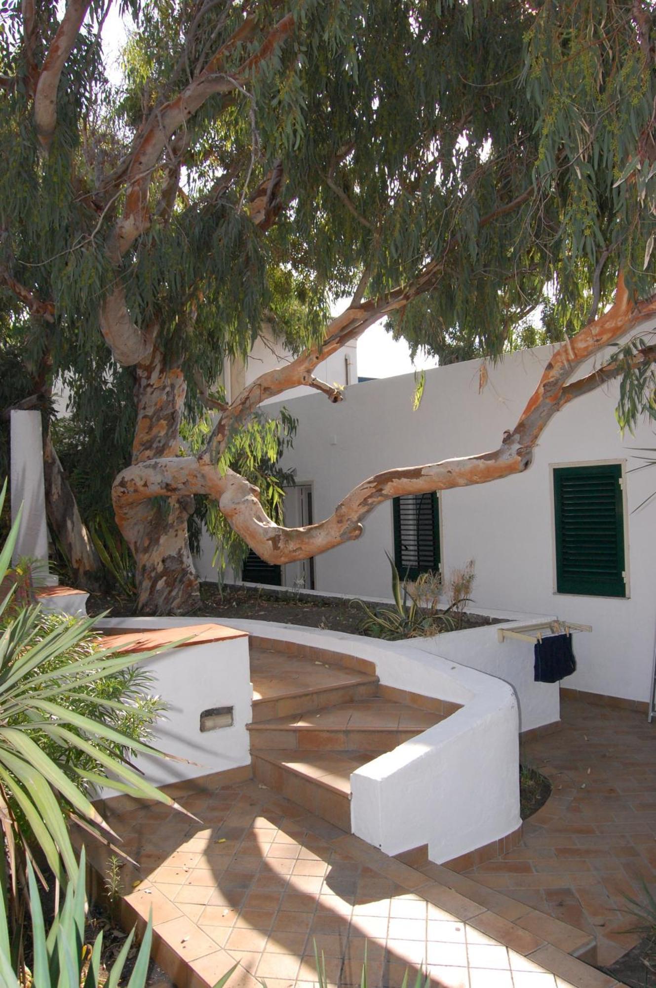 Hotel Conti Vulcano  Esterno foto
